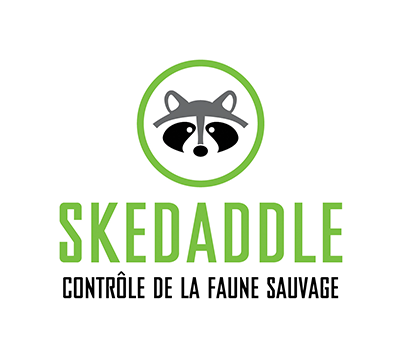 Skeddadle Logo