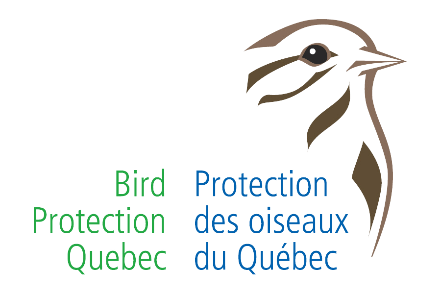 Bird Protection Quebec – Edited